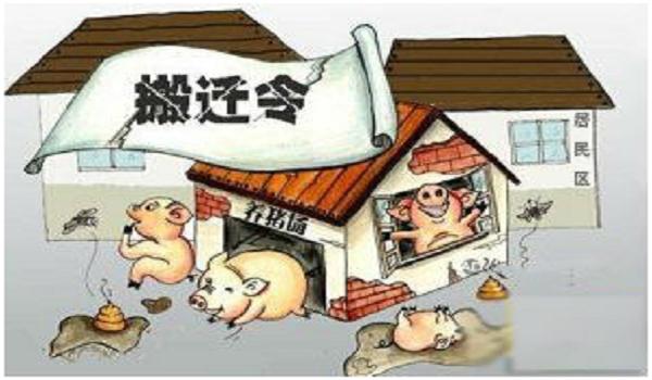 猪价上天,环保落地,国务院再发文下达禁养区猪