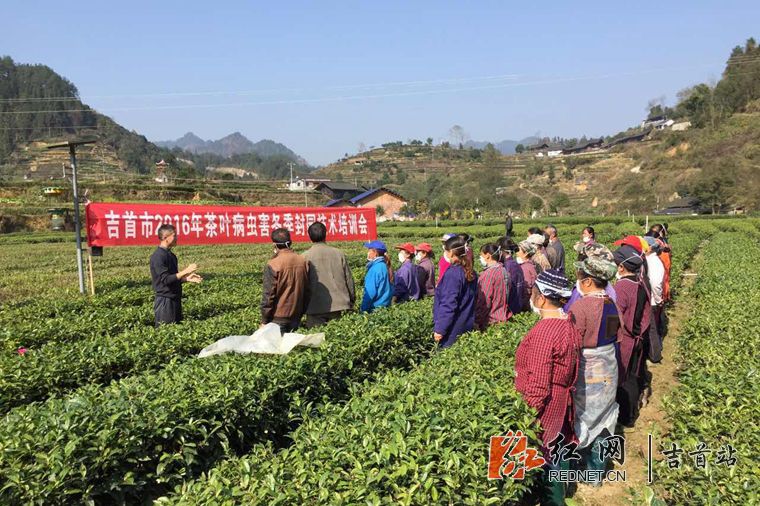 选择就业机构主要看哪些点?