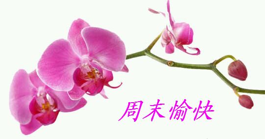 周末问候语温馨一句话,五月周末问候语温馨一句话
