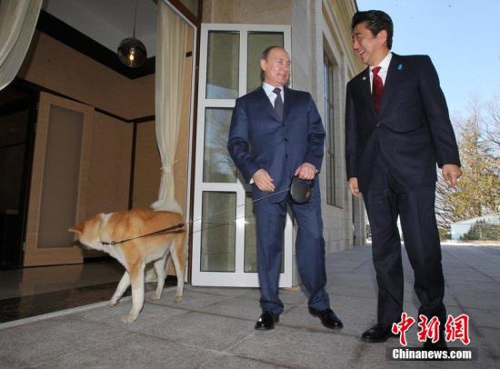 资料图：当地时间2014年2月8日，俄罗斯索契，俄罗斯总统普京会晤到访的日本首相安倍晋三。安倍晋三7日出席了索契冬奥会开幕式。图片来源：CFP视觉中国