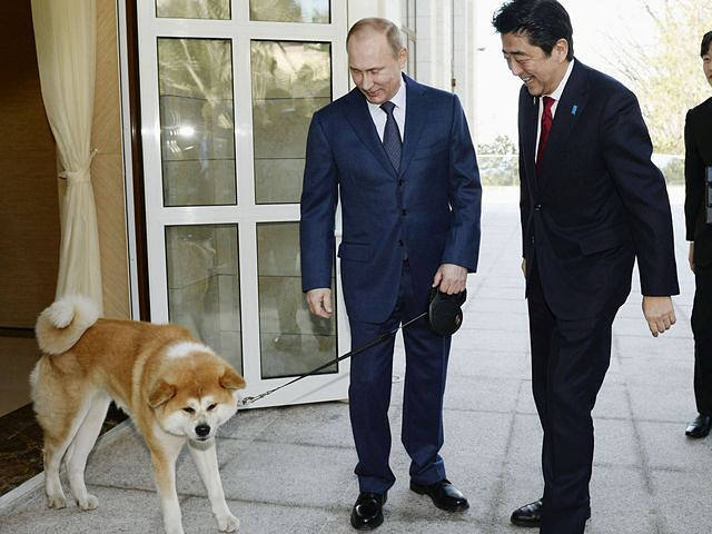  资料：2014年2月8日，索契，俄罗斯总统普京（左）牵着“梦”迎接日本首相安倍晋三。（新华/路透）