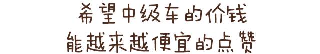 20万大空间/高颜值轿车 媳妇喜欢丈母娘满意