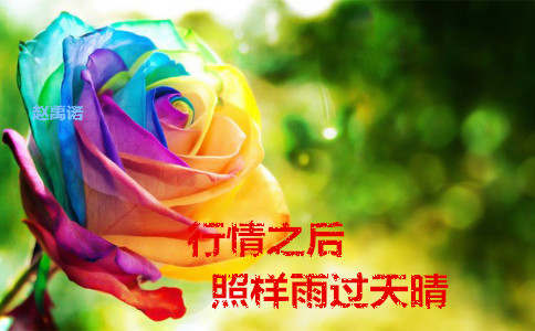 赵禹诺:12.13投资不是赌博 午夜原油黄金行情走