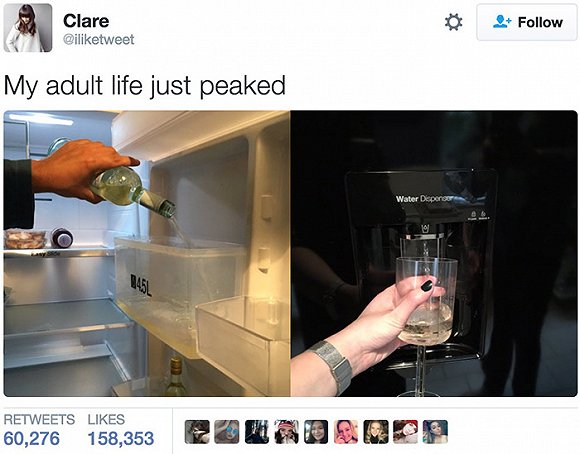 如何使用冰箱软件 sI6K-fxypunk6487007.jpg