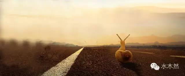 水木然:我是如何在3个月内从30万炒到3000万