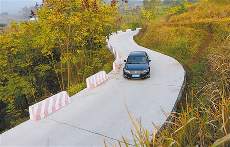 乡村公路修到家门口 村民“橙”功致富