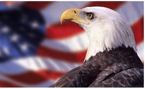 林可云:12.14EIA如何布局,美联储加息对原油黄