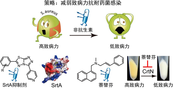 “基于化学小分子探针的信号转导过程研究”重大研究计划结束