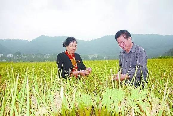 可以买到真学历吗_可以买到真学历吗_百度 _ 