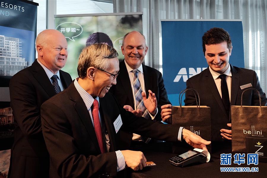 2016,走向世界的人民币|人民币|国际货币基金组