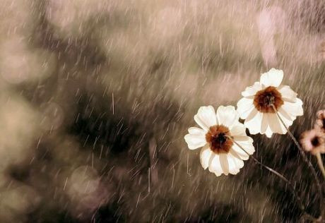 以诚为贵:今日油价必破50美金,日赚100万的利