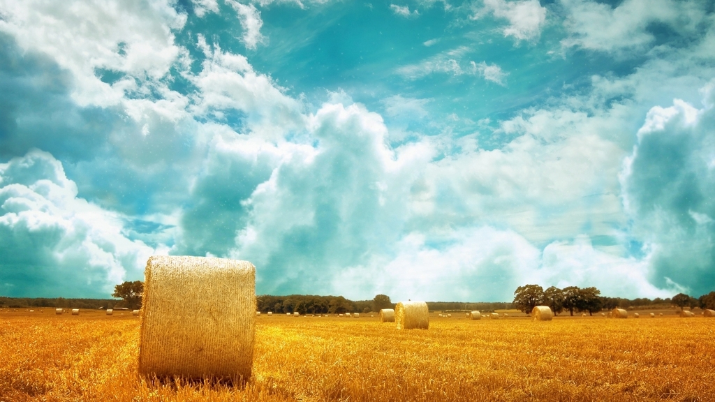 海艺琳:连续加息预期依然牵制黄金多头欲望,现