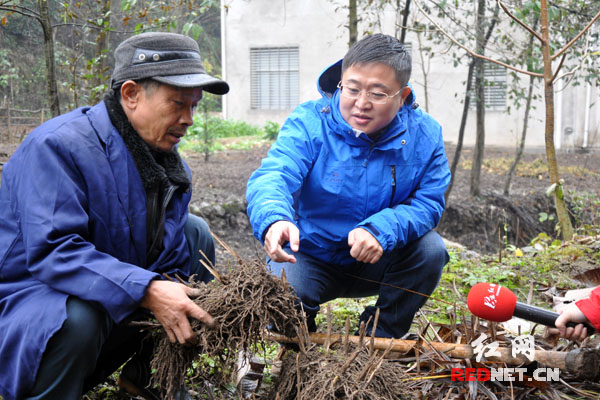 慈利县双合村:做好山水文章 贫困户既有分红又
