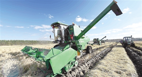 诠释粮食安全新内涵 建立质量可追溯体系|粮食