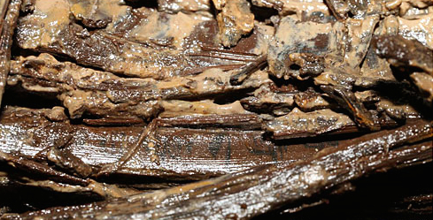 :只当了不到四年的海昏侯,他的财富是从哪里来