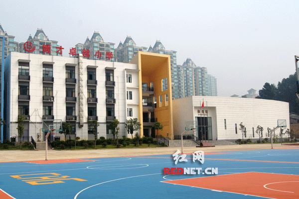 岳麓区博才卓越小学:行卓越之路,成教育之美