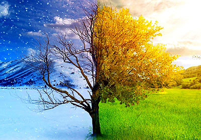 桃花潭水猜一个成语_桃花潭水图片(2)