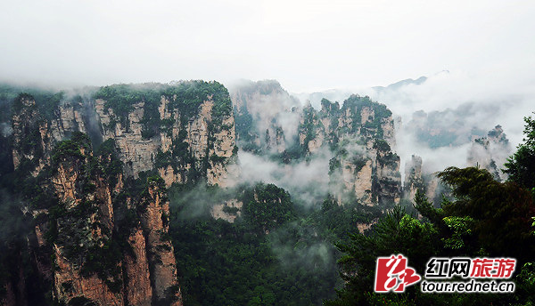 旅游业发展规划_益阳旅游业收入