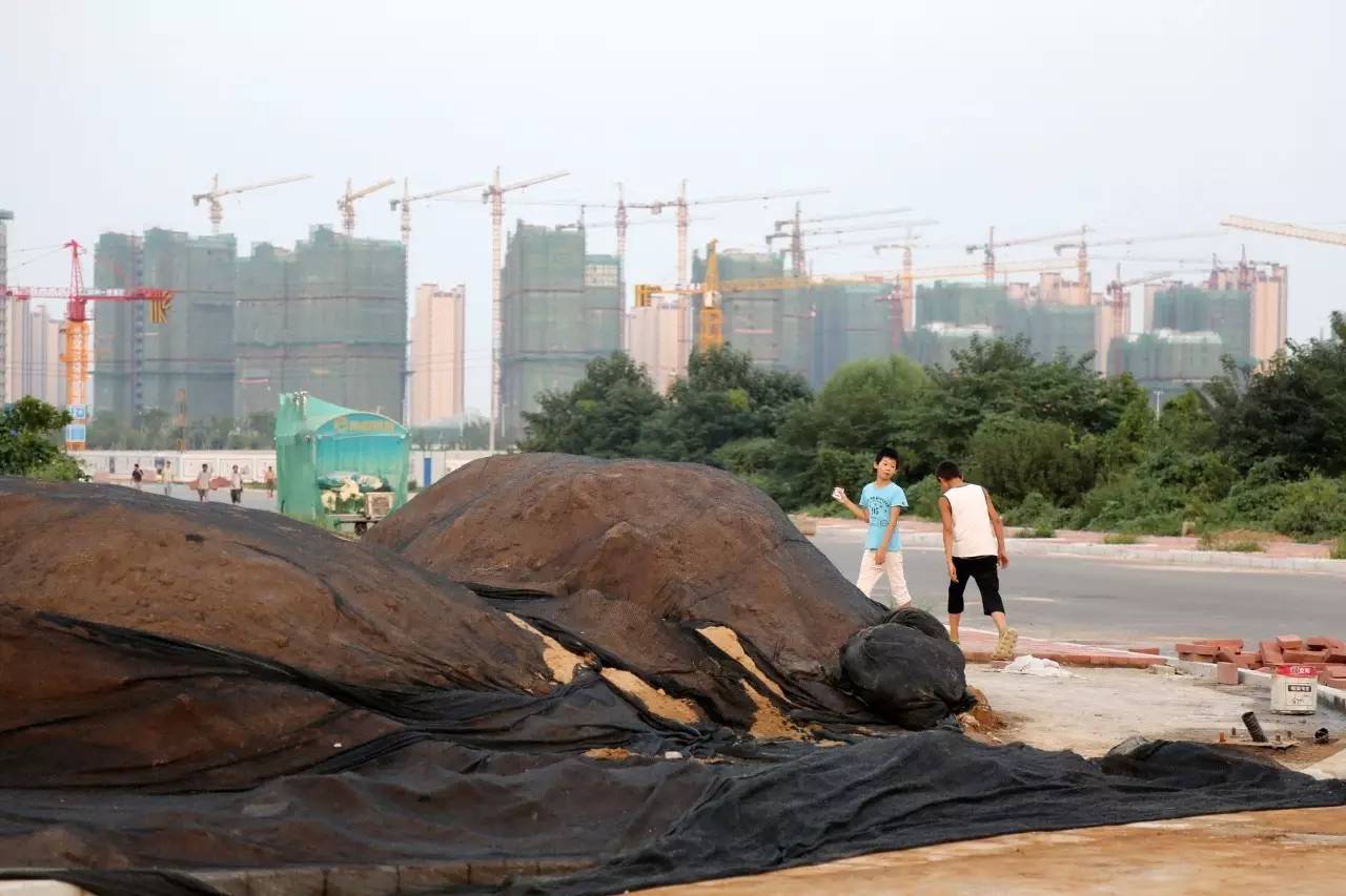2016年8月20日，河南省郑州东区的一处遍布鱼塘的地块成了新“地王”，总价35.1亿，亩均价突破4000万，折合楼面价已近每平方米3.69万元。