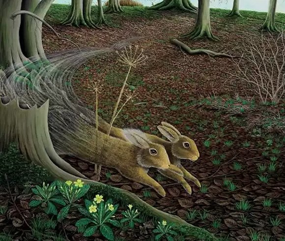 《兔子共和国》作者理查德·亚当斯去世,享年