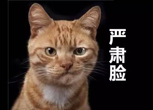 分得清兴全基金、兴业基金、华宝兴业、兴业银