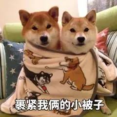 辣眼睛or美得飞起？羽绒服检验明星时尚感