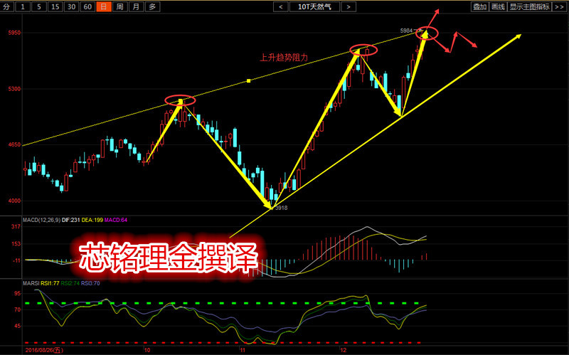 点击进入_点击500w 收入