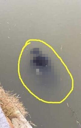 盐城失联3天大学生被找到 确定已遇害