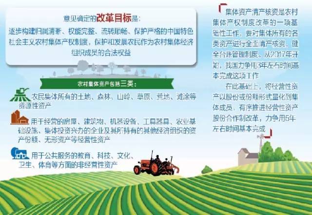 村集体经济积累总量指_村集体经济草莓彩绘墙(2)