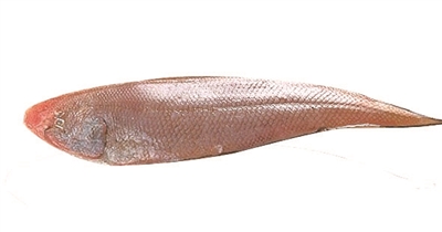 宁波小眼睛带鱼销量连续11年排第1 一斤上百元