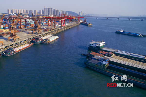 湖南省口岸区域通关单量金霞经开区占四成