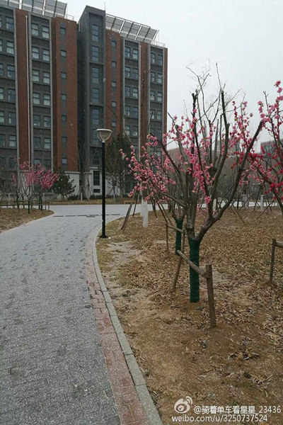 北京今晨有雾京哈六环等封路 今天雾和霾将彻底消散