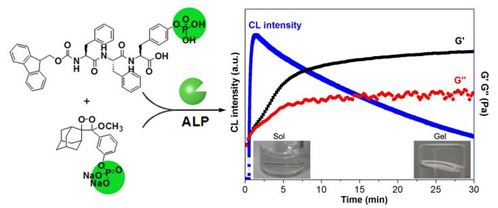 超分子自组装的表征取得重要进展