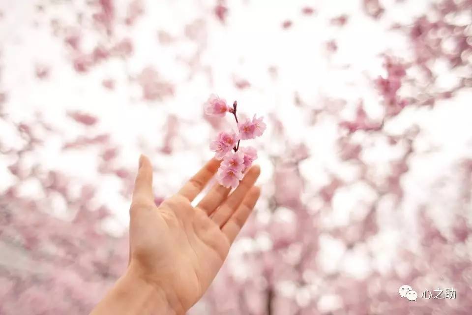 排遣孤独