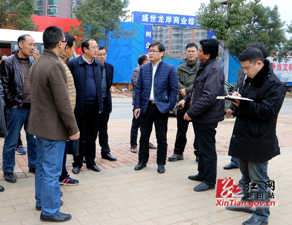 新田县委副书记易先平深入城区调研创省园林县城工作