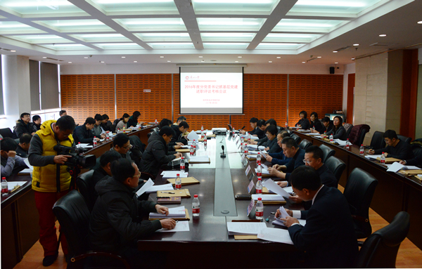 东北大学召开分党委书记抓基层党建述职评议考