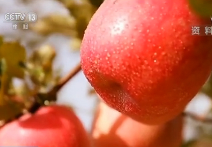 退耕还林17年国家投入4500亿 绿水青山换来金