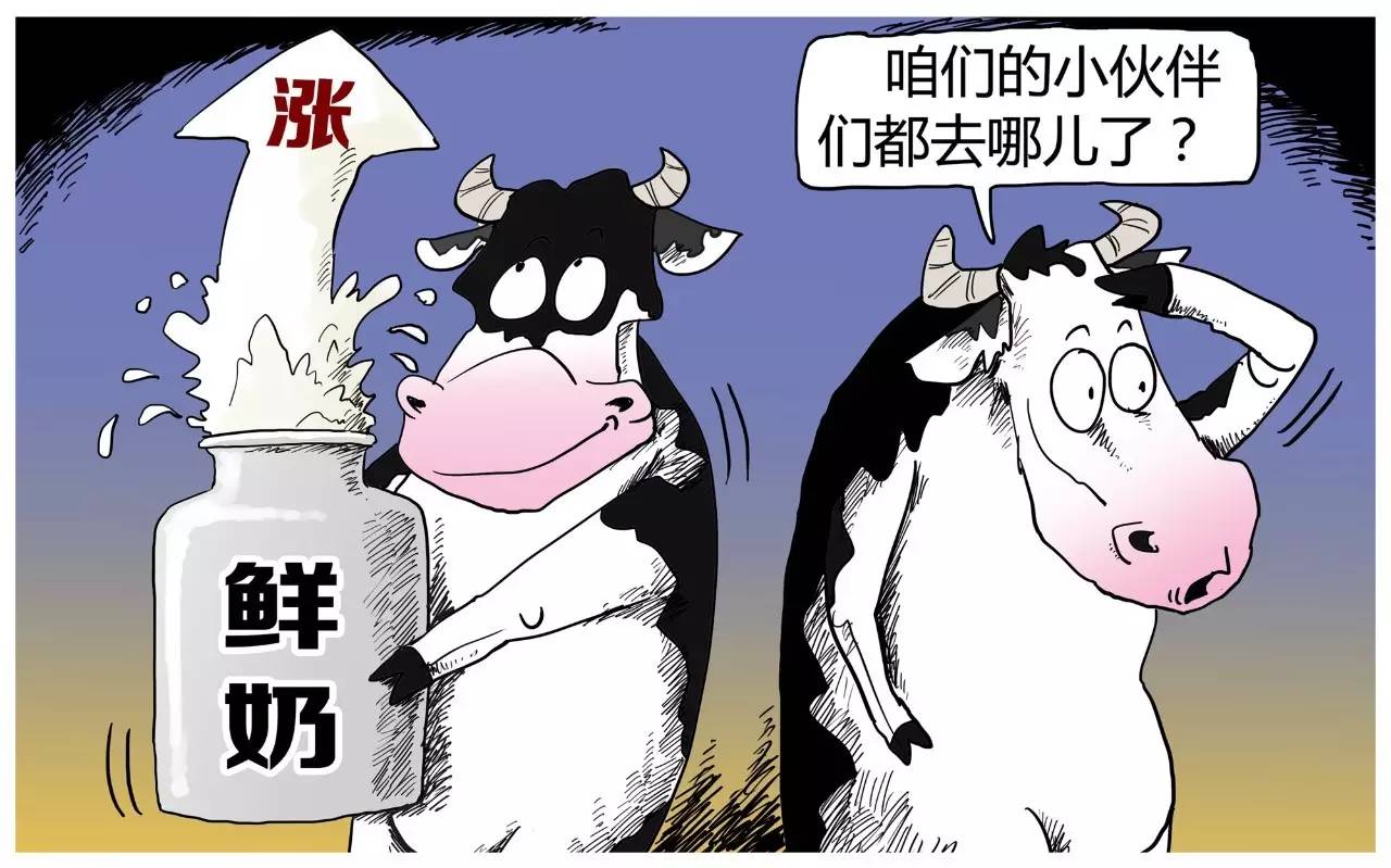 人均饲养奶牛_奶牛图片卡通
