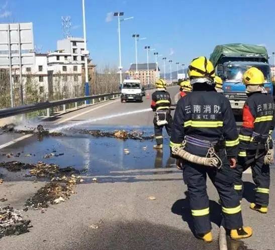 司机高速“奇遇”,1万只小鸡瞬间变成烤鸡!