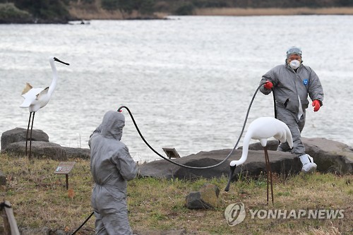 韩国病毒人口_韩国人口