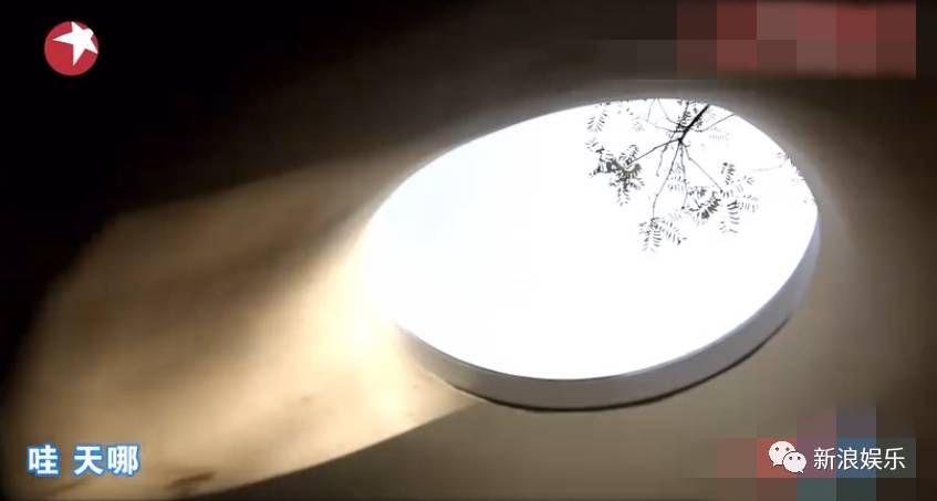 业主竟然手撕节目组！这种改造家的节目后续真是一言难尽