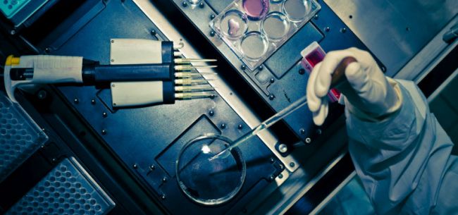 顶着经营压力也要强控质量风险 这家CMO企业