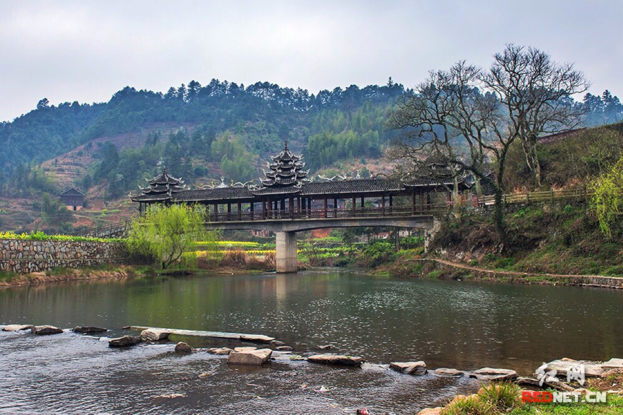 通道县坪坦乡横岭村总人口