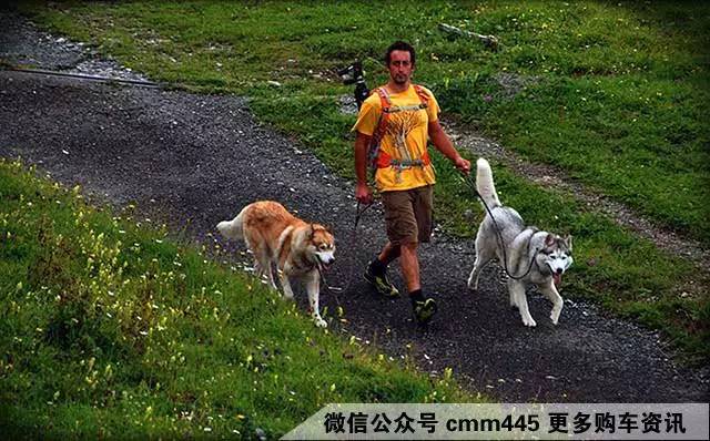 裸车不到10万！这些合资轿车好开又省油！