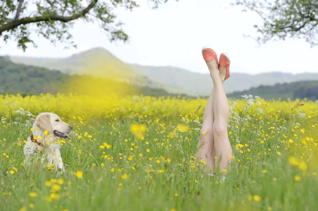 越高效的人,越懂得如何休息