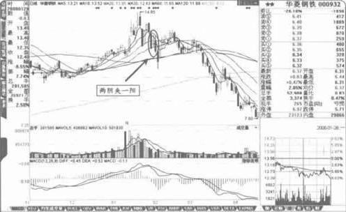 钟金燕:熊牛走势请看这阴阳如何放量,只动不静