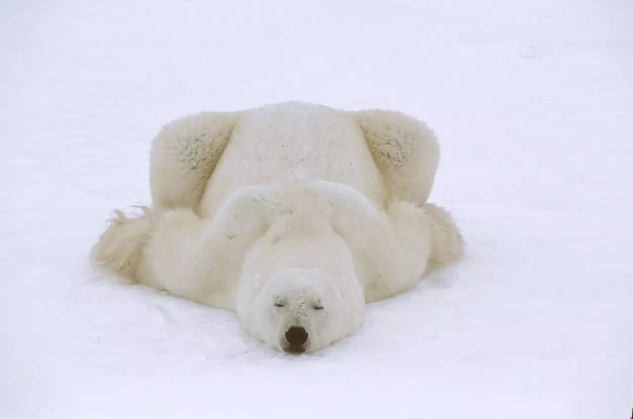 越高效的人,越懂得如何休息