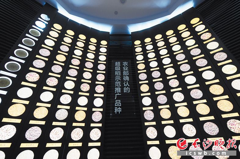 广长省经济总量_我国经济总量照片