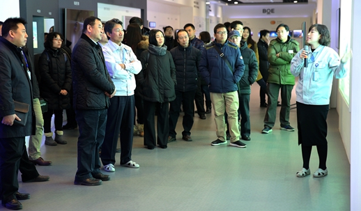 外贸发展局全体员工赴北京京东方显示技术有限