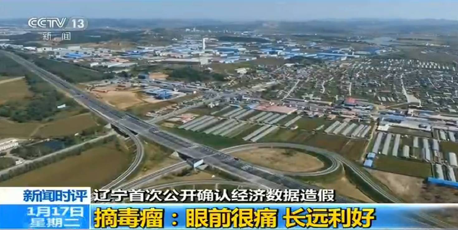 震惊丨辽宁首次公开确认存在经济数据造假